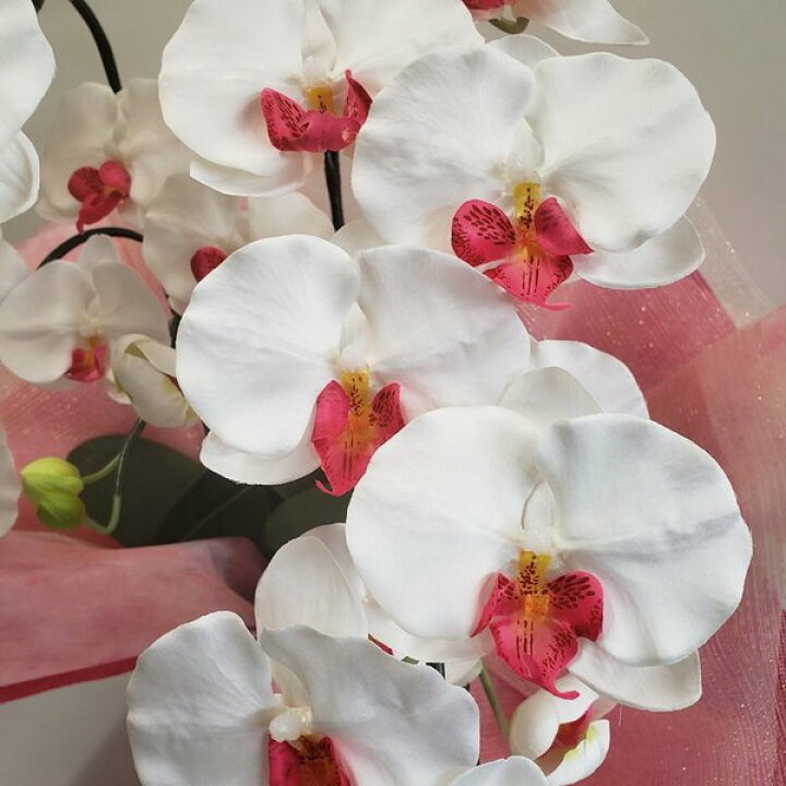 楽天市場】胡蝶蘭L/白赤/ 3F(造花)高さ90cm×巾50cm造花・光触媒 