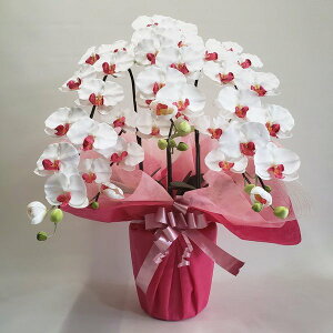 ӒL// 3F()90cm×50cmԁEG}@A[eBtBV t[@A[gt[@tFCN@a@̓@hV̓@zj@JXj@bsO@