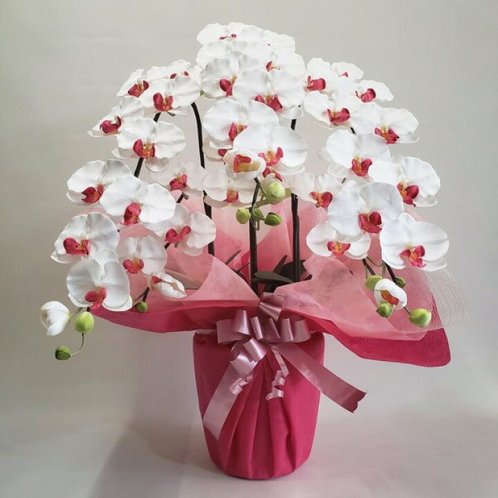 楽天市場】胡蝶蘭L/白赤/ 3F(造花)高さ90cm×巾50cm造花・光触媒 