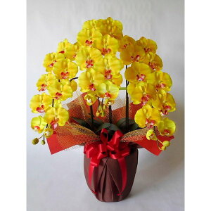 �Ӓ���-��L 3F����90cm×��50cm���ԁE���G�}
