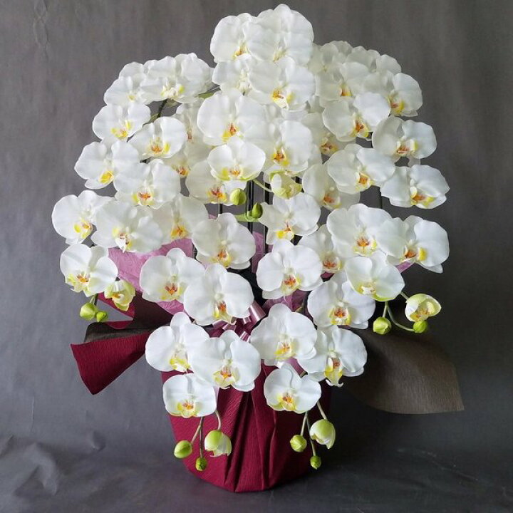 楽天市場】胡蝶蘭-L/白黄 5F高80cm×巾60cm造花・光触媒 アーティ 