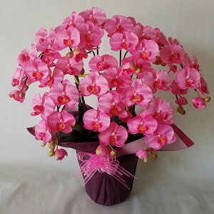 ӒM/sN/7F(ԁj70cm×40cmԁEG}@A[eBtBVt[@A[gt[@tFCN@a@̓@hV̓@zj@JXj@JƁ@J@@