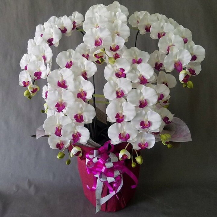楽天市場】胡蝶蘭L/白紫 /5F (造花）高さ100cm×巾90cm造花・光触媒 