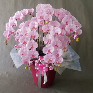 ӒL-Cgp[v 5F100cm×90cmԁEG}