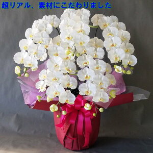 ӒL- 5F85cm×60cmԁEG}@5{@a@JXj@J@j@j@̓@AC@Mtg@v[g