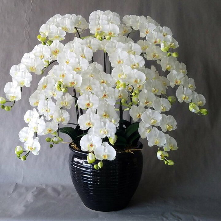楽天市場】胡蝶蘭L-白黄 10F（造花）高さ100cm×巾90cm光触媒 10本立 