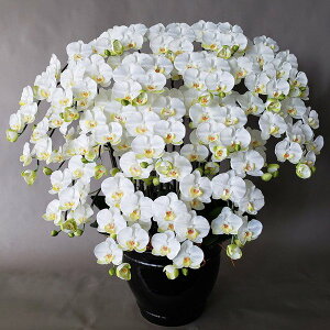 ӒM/ /20F(ԁj100cm×90cmԁEG}@A[eBtBVt[@A[gt[@JƁ@JXj@J@@i@AC@j@j@D@bsO