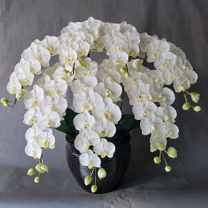 ӒLL- 7F115cm×80cmԁEG}@JXj@J@j@JƏj@GgX@Mtg@^Mtg@^Ӓ A[gt[@A[eBtBVt[@t[A