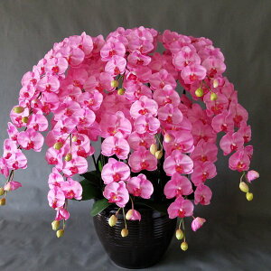 ӒLL/sN /10F(ԁj120cm×100cmԁEG}@A[gt[@A[eBtBVt[@J@j@JXj@j@^Ӓ@^AW@j@D@bs