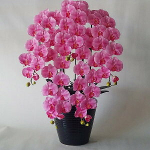 ӒL/sNO/5F()80cm×50cmԁEG}@A[eBtBV t[@A[gt[@tFCN@a@̓@hV̓@JXj@D@bsO