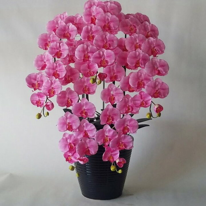 楽天市場】胡蝶蘭L/ピンクロング/5F(造花)高さ80cm×巾50cm造花・光触媒 