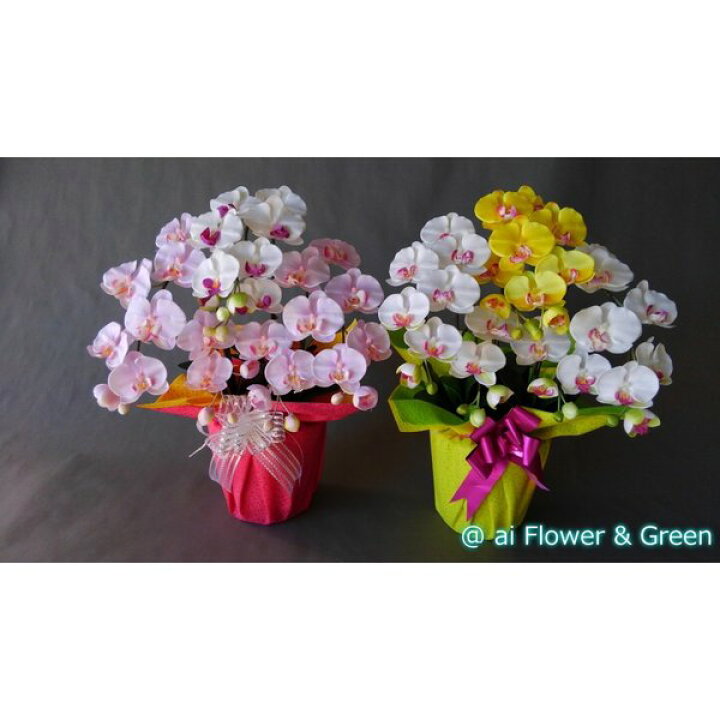 楽天市場】胡蝶蘭M-白紫＆絞りピンク 3F高さ75cm×巾40cm造花・光触媒  