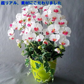 胡蝶蘭M-白赤 5F＆アイビー高さ70cm×巾45cm造花・光触媒