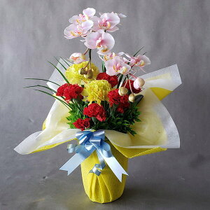 Ӓ-isNJ[l[VAW40cm×25cmԁEG}