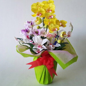 ԃA[eBtBVӒJgAW-40cm×25cmԁEG}