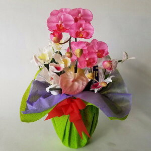 ԃA[eBtBVӒSJgAW-sN40cm×25cmԁEG}