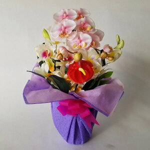 ԃA[eBtBVӒSJgAWisN40cm×25cmԁEG}