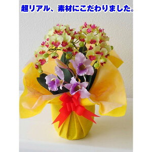 ԃA[eBtBVӒ~jO[SSJgAW-35cm×25cmԁEG}