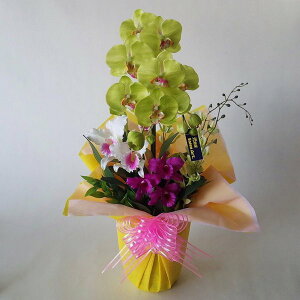 ԃA[eBtBVӒO[MJgAAWb-1140cm×25cmԁEG}