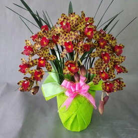 造花アーティフィシャルシンビジューム（クレイジーラブ）-高さ70cm×巾40cm造花・光触媒