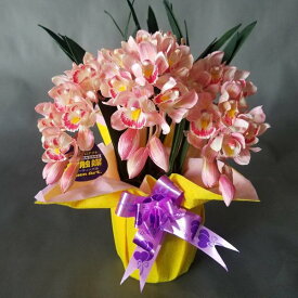 造花アーティフィシャルシンビジュームSSサーモンピンク高さ35cm×巾25cm造花・光触媒