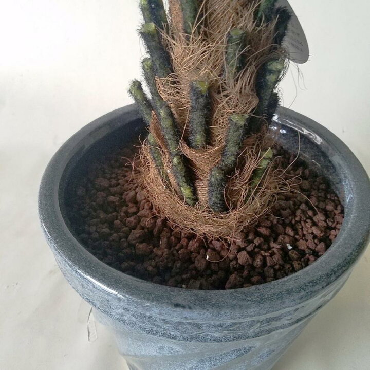 楽天市場】ロマリアギバ 造花観葉植物 （高80cm巾75cm 
