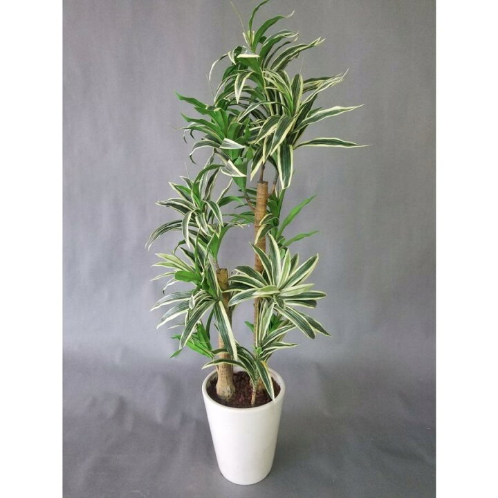 楽天市場】斑入りドラセナ 造花観葉植物 高さ約90cm幅約40cm リビング  