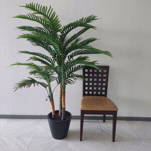 AJV@ԊϗtAit160cm70cmjIWiAG}AԁCajAjAJXjAVzjj