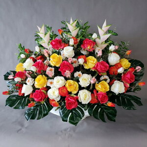 oOAW-MIX85cm×100cmԁEG}