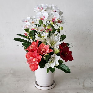 Ӓ&A}XAWiԁjy65×40zyG}zA[eBtBVt[@A[gt[@tFCN@a@JXj@j@j@̓@T@Ўt@r