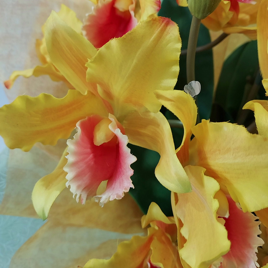 楽天市場】カトレア黄、中輪（造花）蕾含30輪・高55×幅40・光触媒