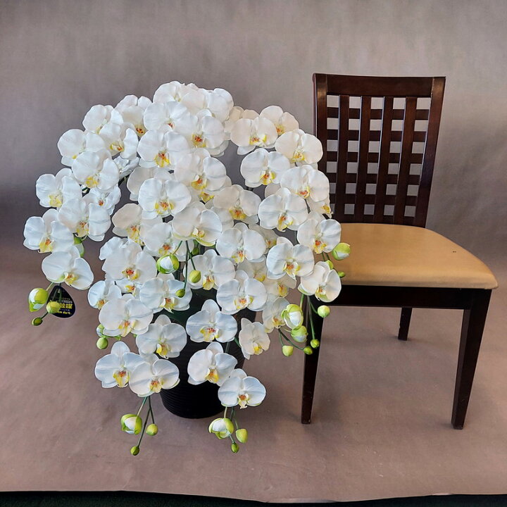 楽天市場】胡蝶蘭-L/白黄 5F高80cm×巾60cm造花・光触媒 アーティ 