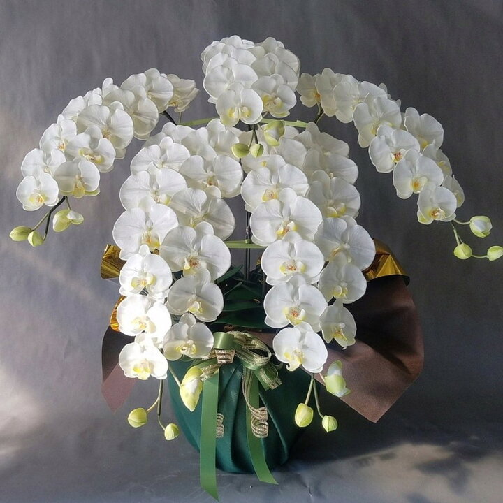 楽天市場】胡蝶蘭2L・5F・白黄【高115cm×巾80cm】【造花】【光触媒 