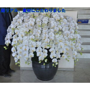 ӒL//20Fiԁj115cm×100cmԁEG} zj@JXj@J@j@JƏj@GgX@^Ӓ@TCY@^Ӓ@A[eBtBVt[@