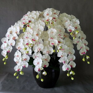 ӒLL//10F(ԁj115×100@G}@JXj@J@j@JƏj@GgX@Mtg@p@A[eBtBVt[@A[gt[@D@bsO@