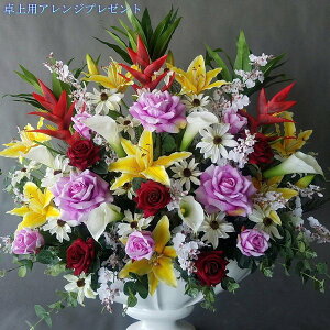 oESMIXAWy100×80zyG}z