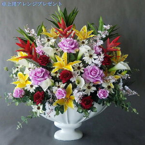 �o���S��MIX�A�����WAR22�@�@�y��100×��80�z�y���G�}�z