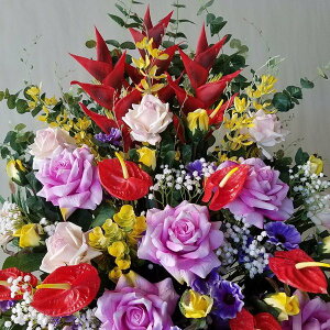 oƃwRjAMIXAWiԁjAR38@100cm×80cm@G}@a@j@JXj@t[AWg@A[gt[@A[eBtBbV