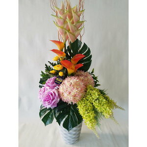 �o���A�M�K���W���E���A�����WAR1�@�@[��100cm×��50cm]