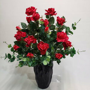 oԃAWiԁjAR151(75×50iG}j