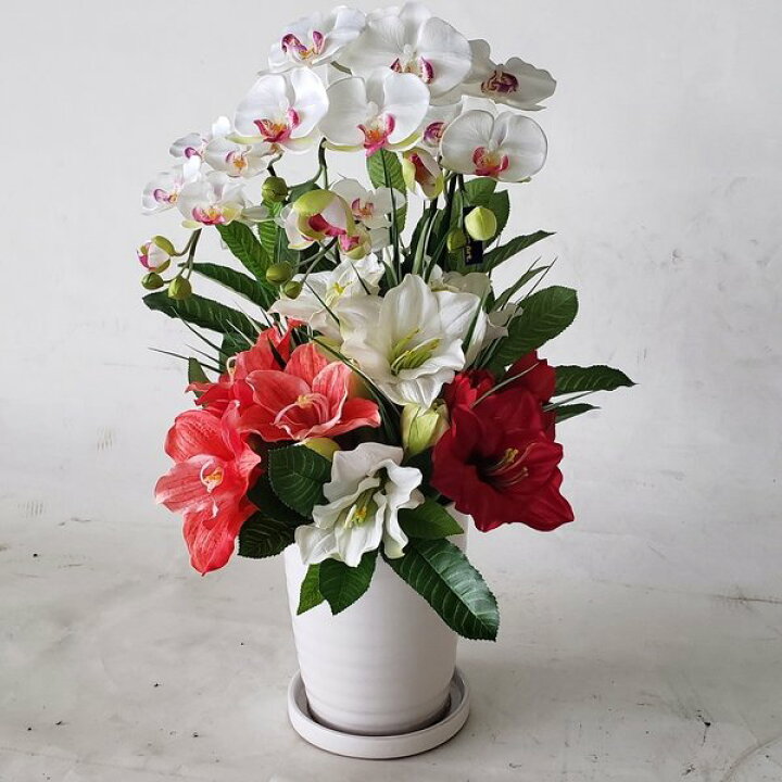 楽天市場】胡蝶蘭・アマリリスアレンジAR164 （高65×幅40）（光触媒  