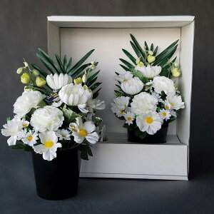 BU3d@@@@@@@@@(ԁE33×25jwG}x