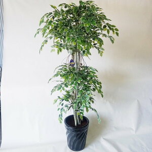 xW~iԁj170×50@G}@j@ϗtA@zj@J@j@p@Mtgv[g@G}