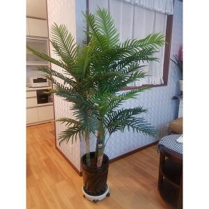 AJViԁj@@@@@@@@@i160×100jyG}z