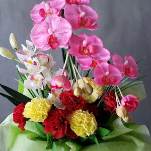 ӒJ[l[VAB1@ԁi40×25zyG}z