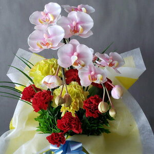 ӒJ[l[VAB3@ԁi40×25jyG}zj@a@̓@Mtg@v[g