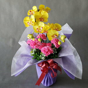 ӒJ[l[VA2@@@@@@@y40×20z