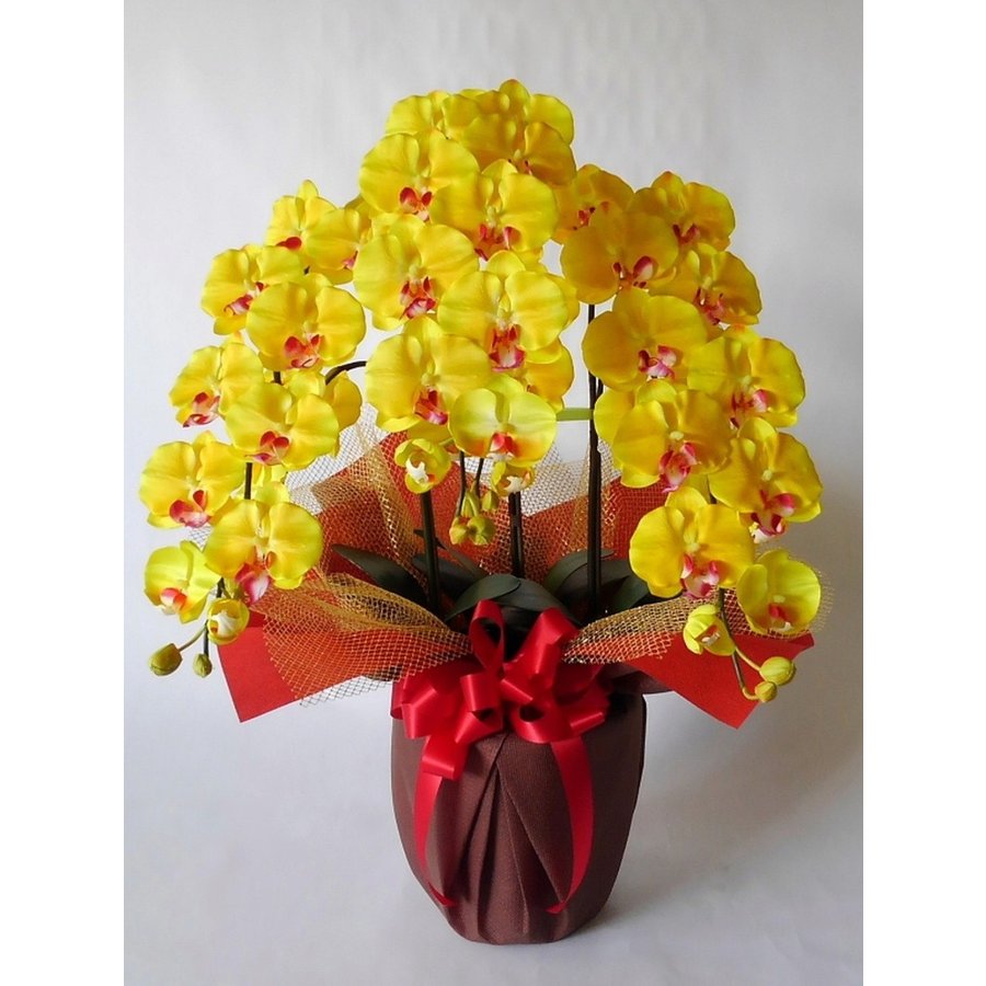 胡蝶蘭L3FY 売れ筋ランキング 造花 驚きの価格が実現 光触媒