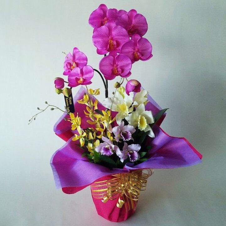 楽天市場】胡蝶蘭赤A5カトレアMIX（造花）【高60×幅30】【光触媒  