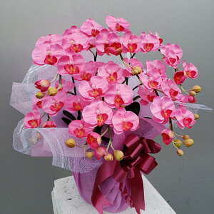 ӒS/5F/sNiԁj50×40@G}@A[gt[@A[eBtBbV@j@a@JXj@JƏj@J@j@ij@zj@Mtg@v[